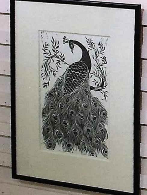 Black And White Peacock