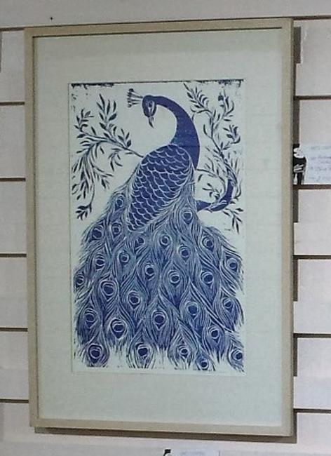 Blue Peacock