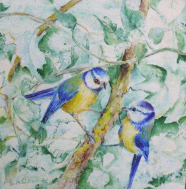Blue Tits