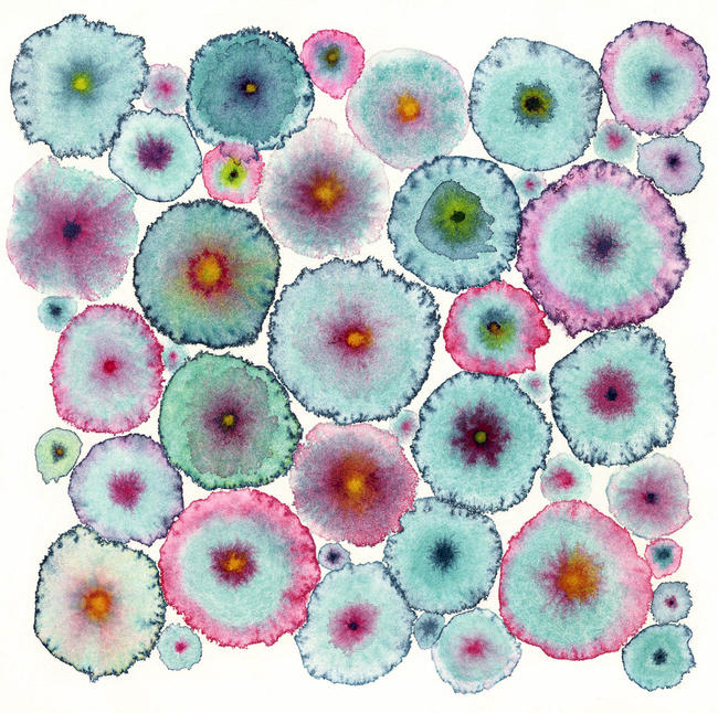 Blooms 6 Turquoise Ltd Edition
