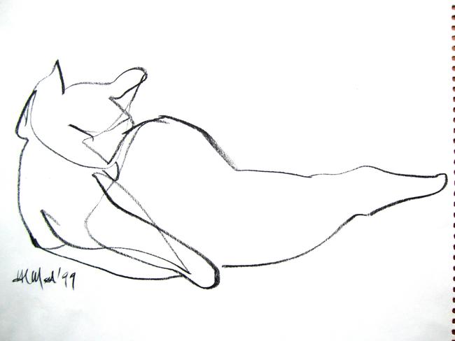 cat 9