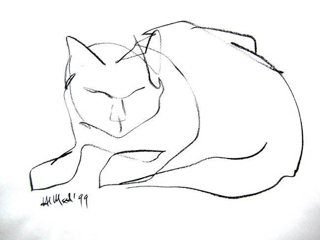 cat 4