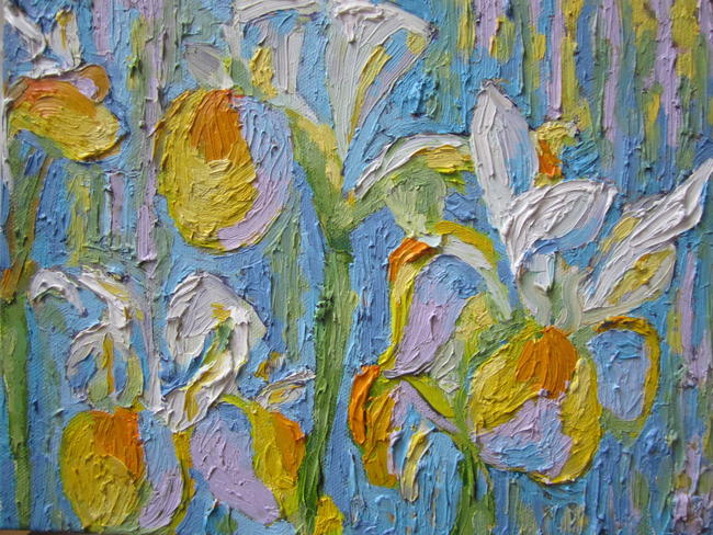 irises