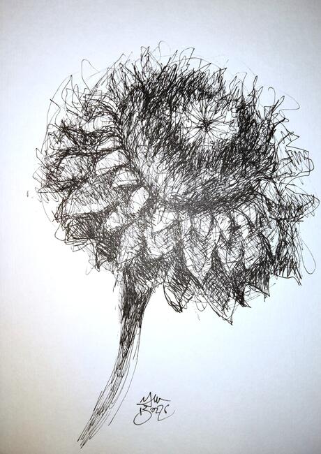 Artichoke2
