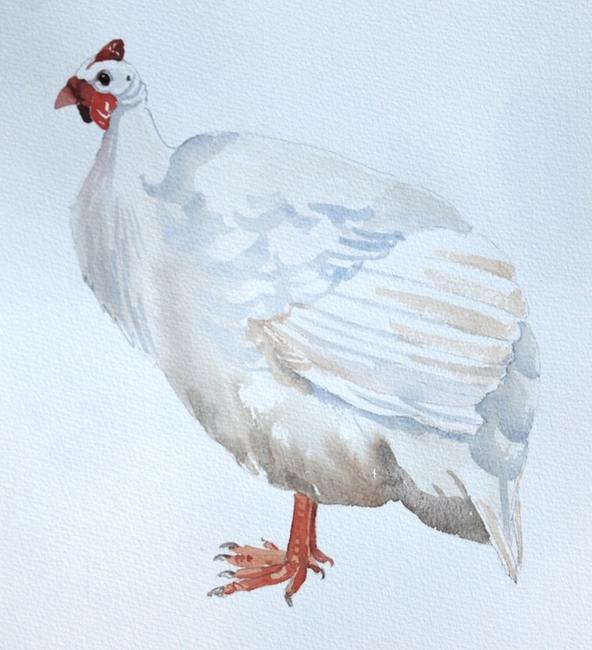White guineafowl