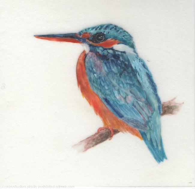 Kingfisher