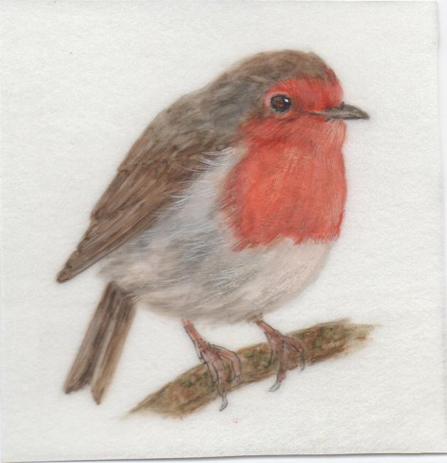 Robin