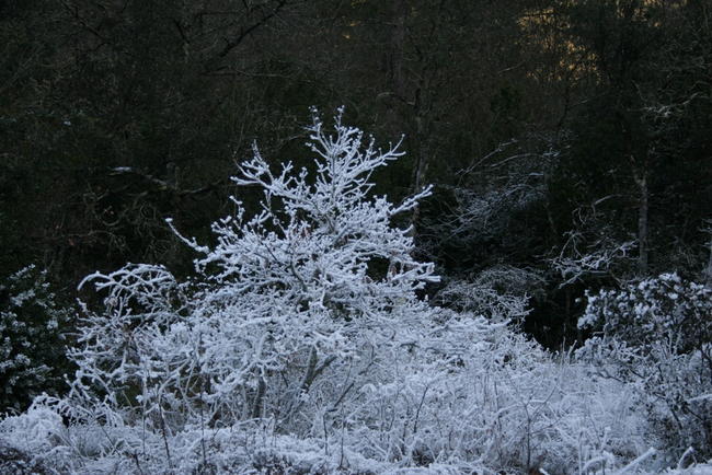 white magic
