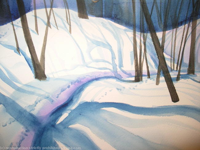 Snow shadows