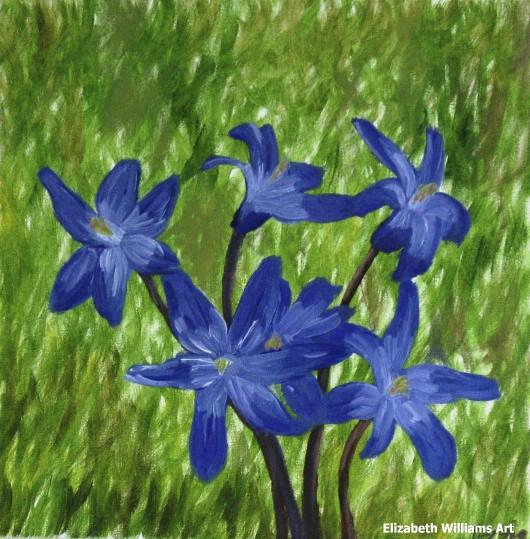 Flowers 1