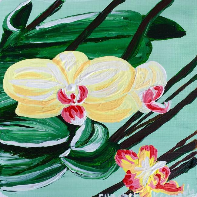 Orchids at Kew