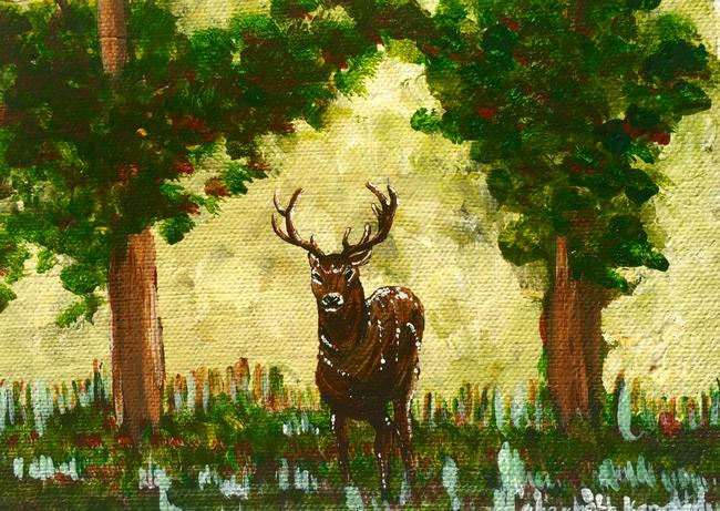 Deer in Richmond Park
