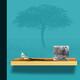 Giraffidae (after G…