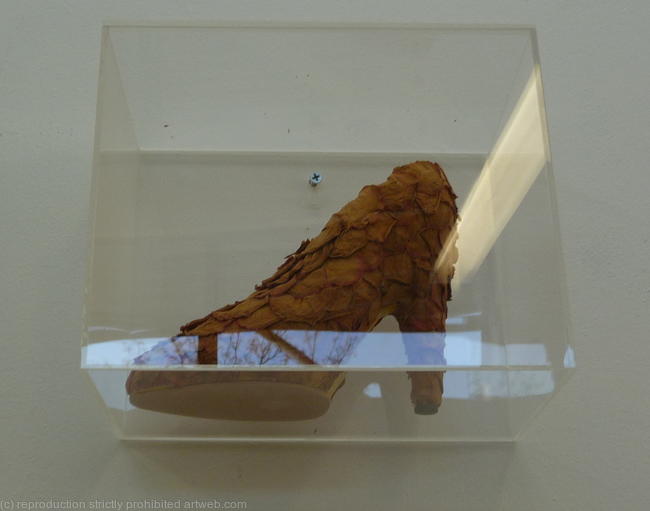 Rose Shoe