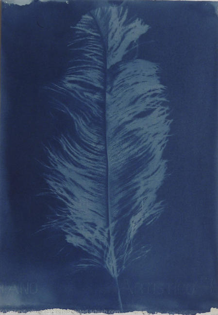 BLUE ANGEL