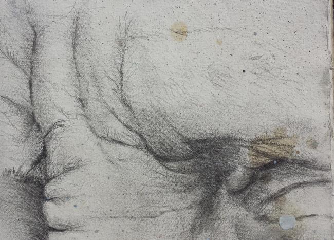 close-up1