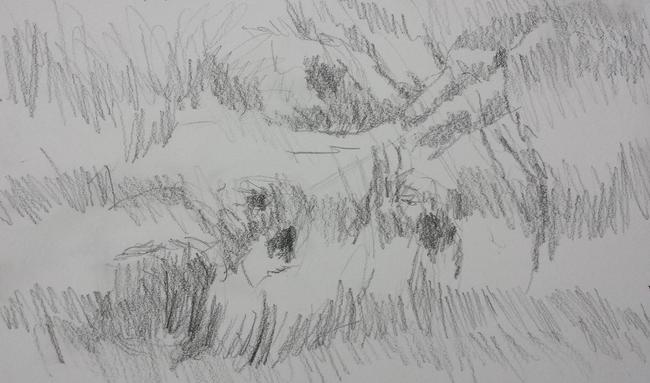 Horizontal exercise 2