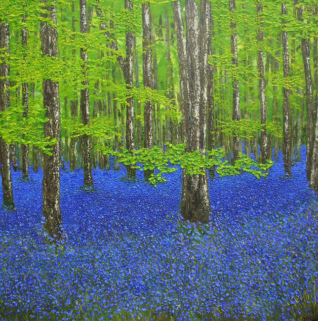 bluebell wood