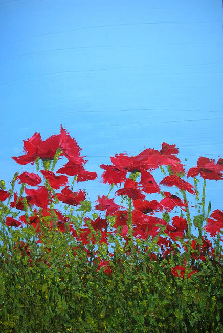 poppies