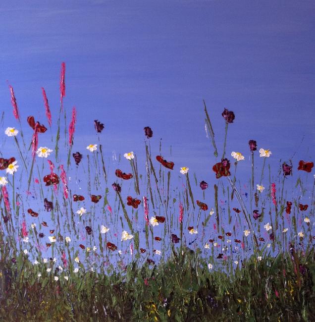 wildflower meadow
