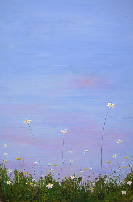 daisies