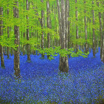 bluebell wood