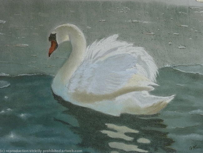 The Swan