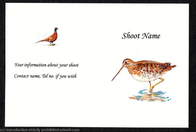 Buy now pack of 20 snipe shoot card coloured