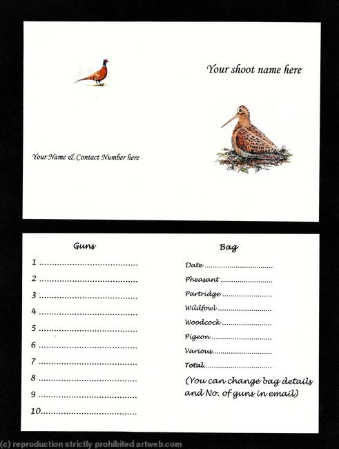 buy now pack of 50 shoot cards with coloured woodcock image