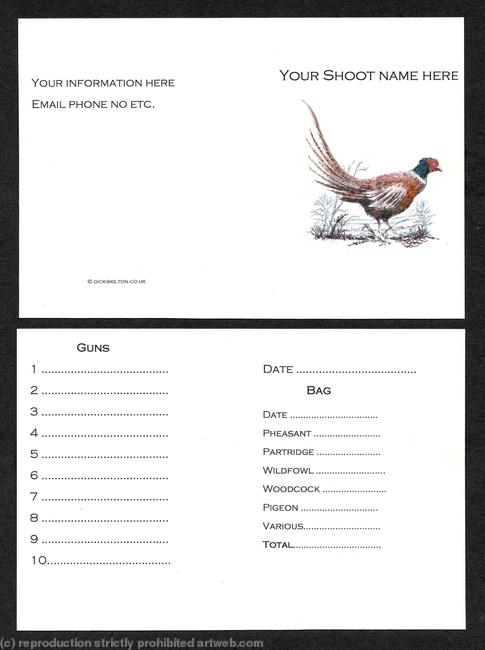 Pheasant with tail up, buy now pack of 20 coloured shoot cards