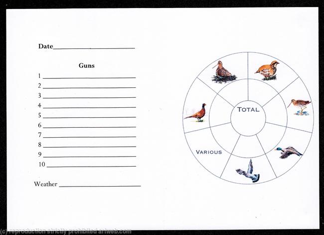 Example of a shoot card inside with coloured bird wheel