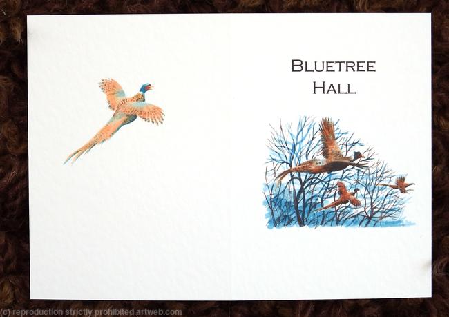 Bluetree hall shoot card possible outside