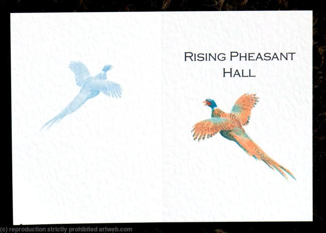 Rising Pheasant Hall shoot card outside