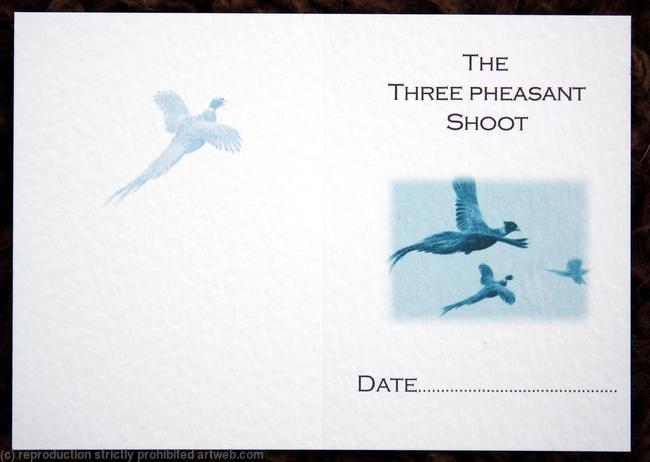 Three pheasant shoot (blue) possible shoot card outside