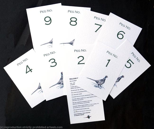Shoot Peg number set with rules
