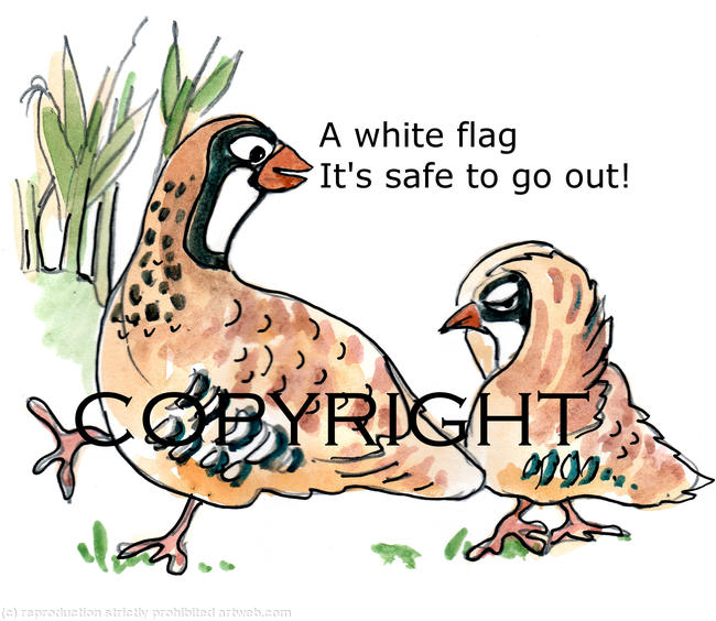 The white flag cartoon possible image for shoot card or game card
