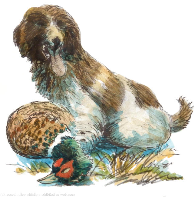 dog with cock Pheasant coloured