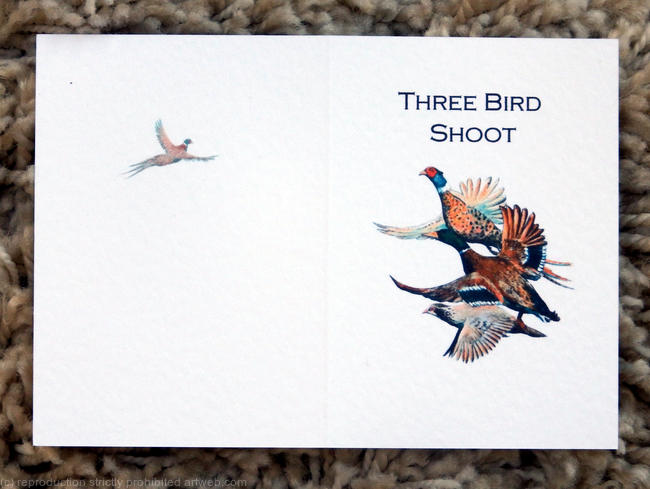 three birds possible shoot card image