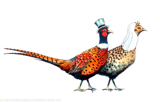 Pheasant brace wedding image. This is a notelet but this image can be used on our thank you cards or invitations. I can do grouse in this way too.