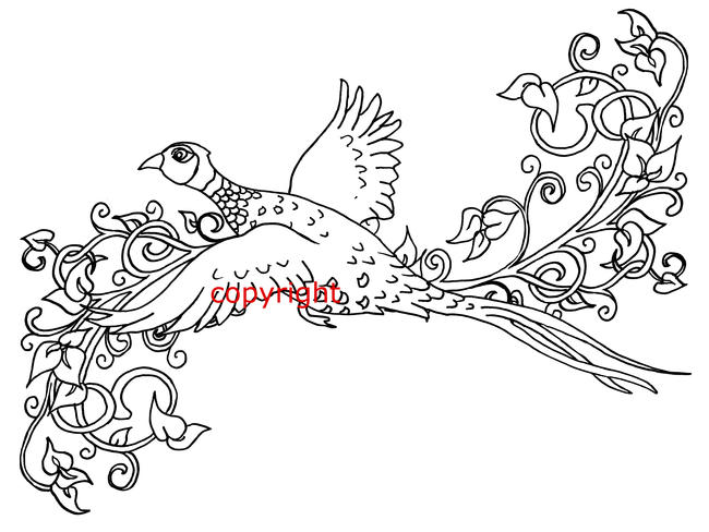 Pheasant design for shoot cards or notelets etc.