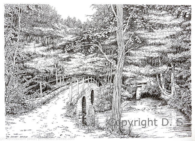 HighleyThe donkey bridge pen Greeting card