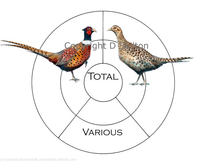 bird circle three segments cocks and hens bag details for your bespoke shoot card