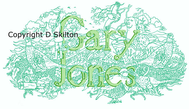 Example of a shooting full name design sold as a jpeg for you to copy