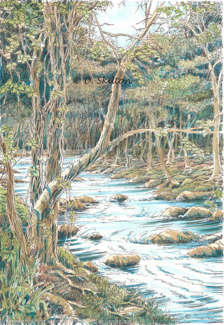 The River at nant Col Nr. Harlech N. Wales