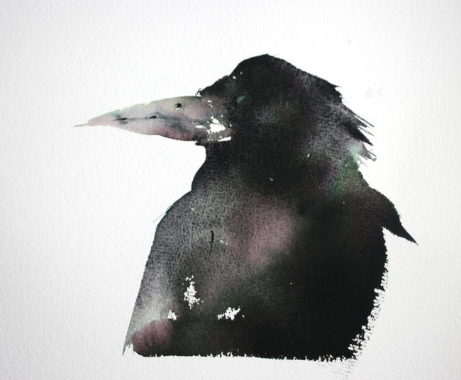 rook