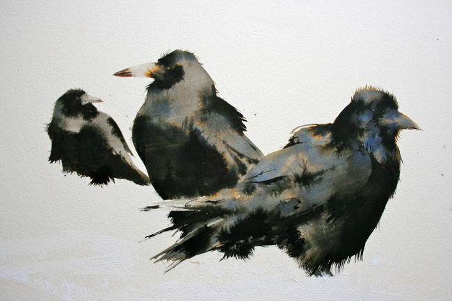 Rooks in the Snow