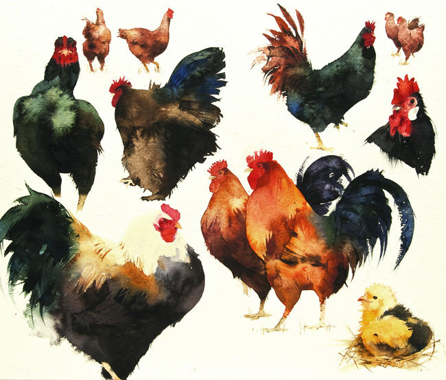 Chicken Sampler