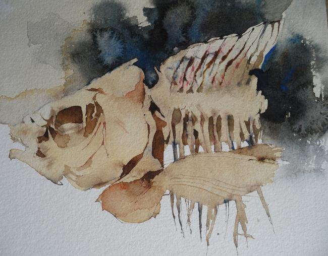 Fish Head