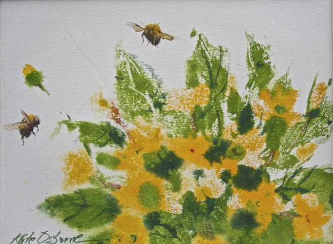 Bee in the Border
