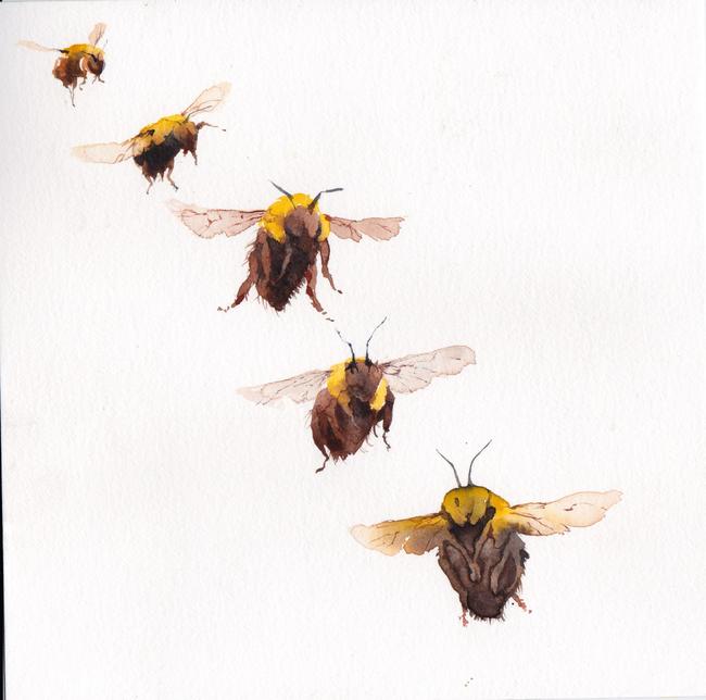 Five Bumblebees